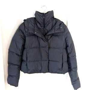 Women's North Face Hydrenalite Puffer Coat